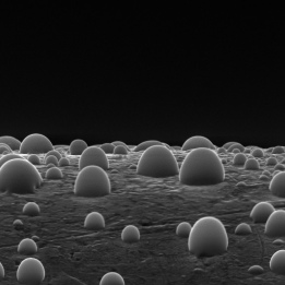 EPSE detector water droplets tungsten wire EVO