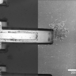 SEM sim card LCP EVO