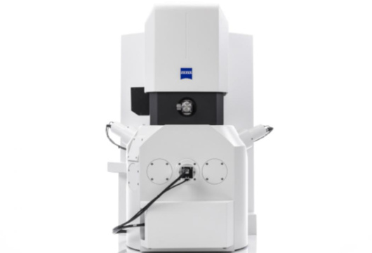 20220401 Gloor Elektronenmikroskopie EVO 1