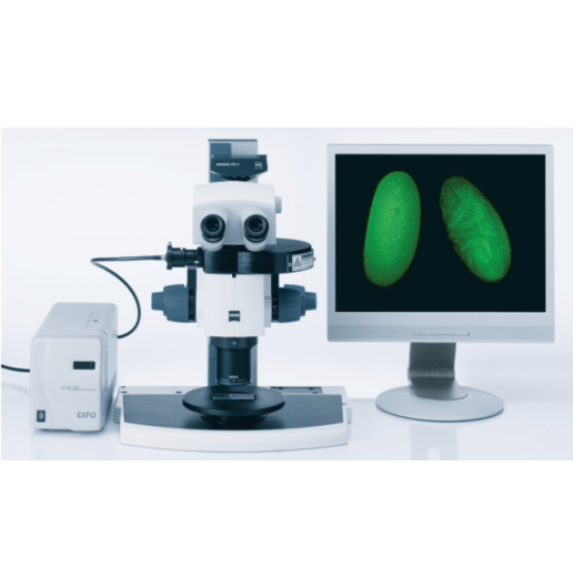 20220209 Gloor Inverse Mikroskopie Axio Vert 5