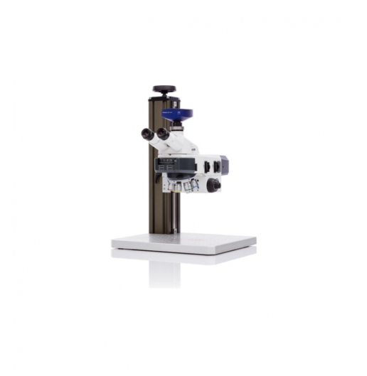 20220209 Gloor Aufrechte Mikroskopie Axioscope vario 1