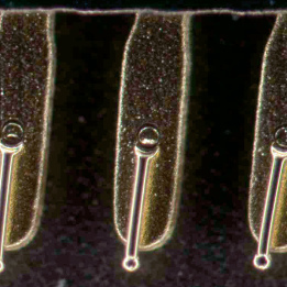 darkfield semi conductor element stereo discoveryv12