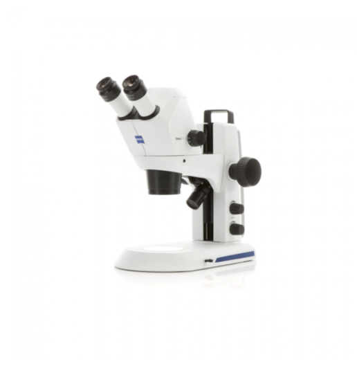 20220209 Gloor Stereomikroskopie Stemi 305 5