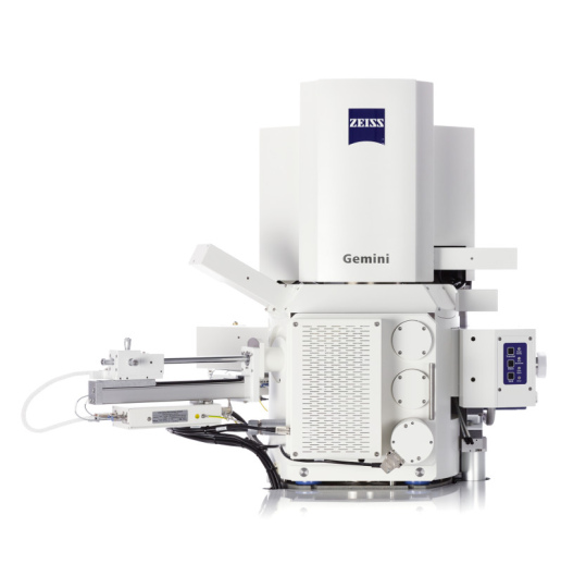 GeminiSEM system