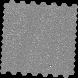 multi beam mouse brain MultiSEM 1