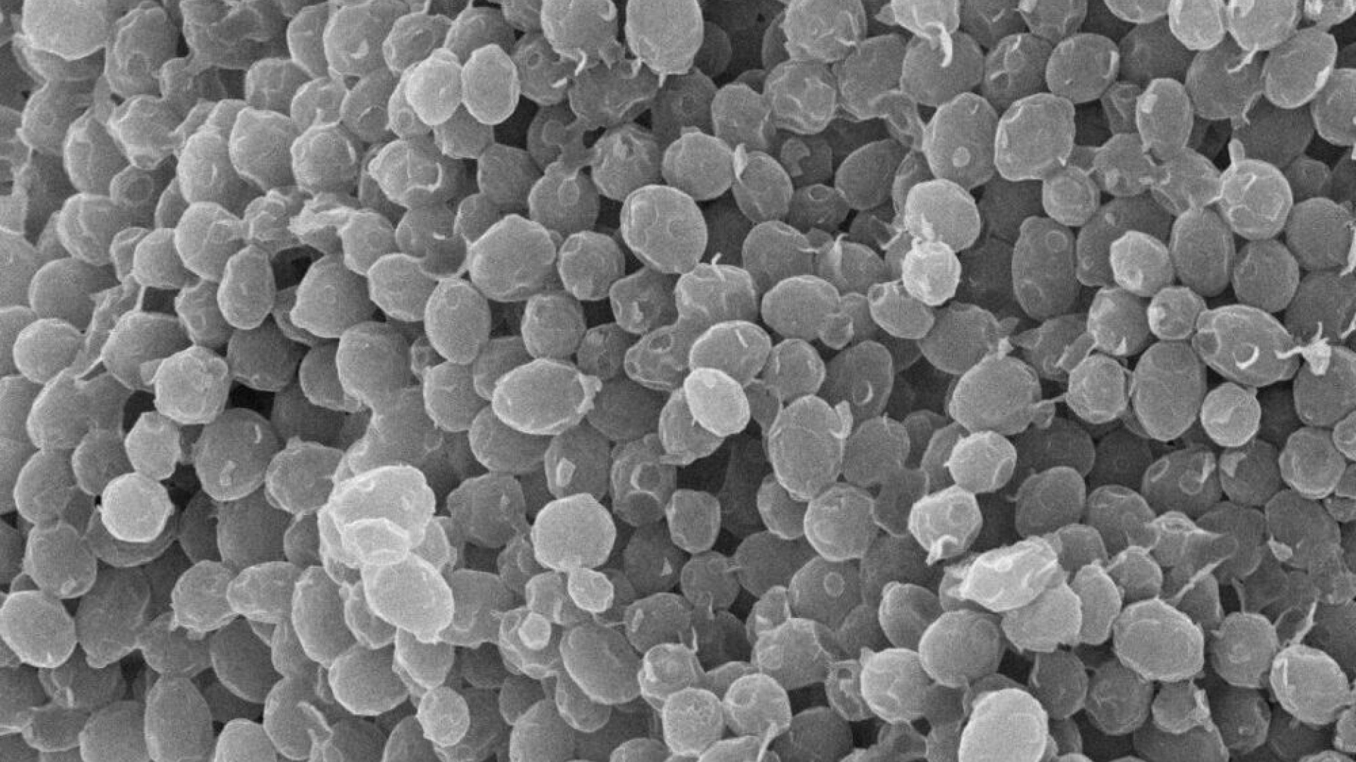 92af856e069a784737984d297adfa5b9 water  c1 w1000 h700