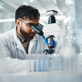 a2f67d1421756b6176fd59b68b810d858108d7d3